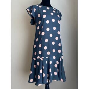 LOFT Short Sleeve Blue Dress with Light Pink Polka Dots in Size  M